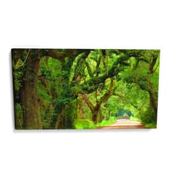Canvas Lab Canvas Wall Art Decor Canopy Road Panorama V by the Artist James McLoughlin – Size: 32 x 16 in - Art subject: Nature,Photography