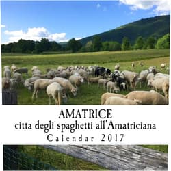 By Michelle Ann Kratts (Author), Robert Borgatti (Photographer), Todd Davis (Photographer) & 0 more Amatrice; citta degli spaghetti all'Amatriciana: Calendar 2017