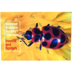 National Audubon Society Pocket Guide: Insects and Spiders