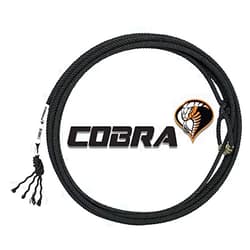 Fast Back ra 4-Strand 35ft Heel Rope Black HM