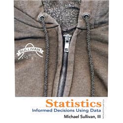 By Michael Sullivan III (Author) Statistics: Informed Decisions Using Data by Michael Sullivan III (2011-12-27)