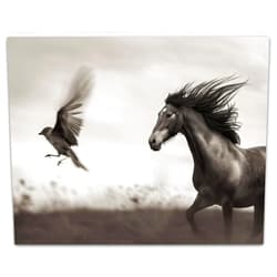 Lone Star Art Fly Like the Wind: Wild Horse Galloping, Chasing a Flying Bird -Unframed 11