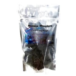Oceans Wonders Ceramic Hawaiian Black Coral Frag Plugs 30 Pack