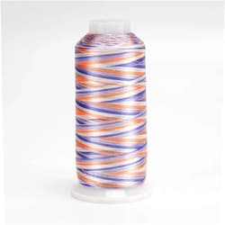 SAKTHREAD 4000Y 120D/2 Mulitcolored Thread Variegated Embroidery Thread Colorful Rayon Thread and Colorful Yarn