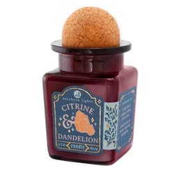 Northern Lights Candles - Curiosity - Citrine & Dandelion - 56073