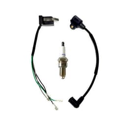 POWER PRODUCTS 4-Wire Magneto W/Built-in CDI Ignition Coil Spark Plug For Harbor Freight Storm Cat 60338 69381 For Tail Gator 800 900W 63025 63024 For Pulsar PG1202S For ETQ950 2HP 2-Cycle 63cc 64cc Gas Generator