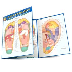 Vincent Perez Reflexology Laminated Reference Guide (QuickStudy Academic)