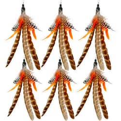 TIENAILING Cat Feather Toys Refills, 6 Pieces Handmade Natural Da Bird Feathers Refill, Cat Wand Replacement Feather for Indoor Cats (B)