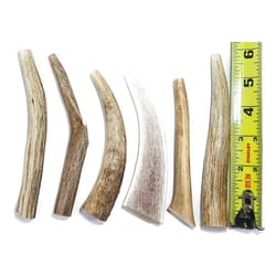 Big Dog Antler Chews 6 Pack for Small Dogs | All Natural Organic Deer and Elk Antler Dog Chews | 0 to 20 Pounds