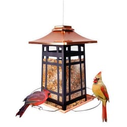 Nature's Way Outdoor Garden Décor Hanging Wild Bird Seed Feeder, Metal Copper Gazebo Feeder, Easy Fill, Rain Drainage, Black and Copper