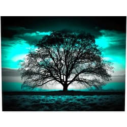 Betepefet DIY 5D Diamond Art Kits Painting for Adults Black and White Tree Under Sunset Black and Teal（1） 30x40cm/11.7x15.8inches