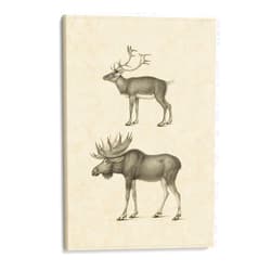 Canvas Lab Canvas Wall Art Decor Vintage Elk by the Artist Vision Studio – Size: 16 x 24 in - Art subject: Animals,Nature,Nature and animals,Wildlife