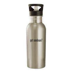 Knick Knack Gifts got sundown? - 20oz Stainless Steel Water Bottle, Silver