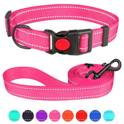 Stpiatue Reflective Dog Collar and Leash Set with Safety Locking Buckle Nylon Pet Collars Adjustable for Small Medium Large Dogs 3 Sizes(Hotpink&M)