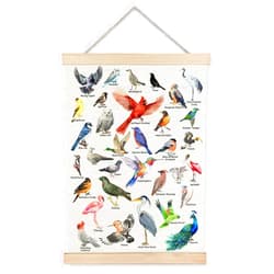 JINYO Bird Wall Decor, Bird Wall Art Poster, Bird Pictures Wall Decor, Bird Decor for Home, Gifts for Bird Lovers, Bird Prints Wall Art for Home Classroom Kids Room, 12x16 Inches