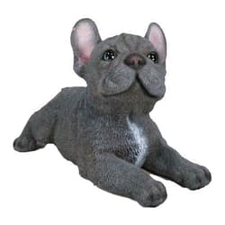 Ebros Gift Realistic Lifelike Gray French Bulldog Puppy Sitting On His Belly Figurine 8.25
