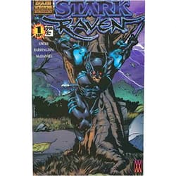 Endless Horizons Stark Raven #1 FN ; Endless Horizons comic book | Walter McDaniel