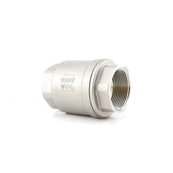 LXDQWNWC Check Valves 304 Stainless Steel 2 Inch DN50 Female Thread Wire Mouth Vertical Non-Return Check Valve