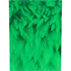 Sara M Schaller AngelWise | Green Feather Noteboo