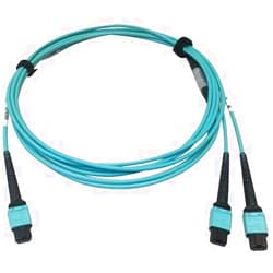 Tripp Lite 400GB Ethernet Fiber Optic Cable, Multimode 50/125 OM4 Cable, Plenum Rated, 24F MTP/MPO-PC to 2X 12F MTP/MPO-PC (F/F), 3m, Aqua (N846D-03M-24BAQ)