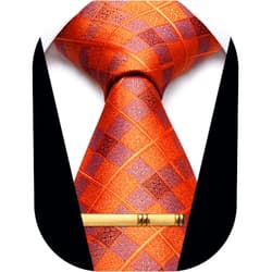 YourTies Men's Neckties Striped Tie and Plaid Neckties for Men Woven Silk Tie Gold Tie Clip Set