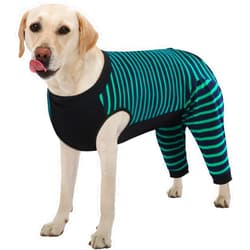 Kuoser Dog Recovery Suit, Anti Licking Dog Rear Leg Sleeve, Abdominal Dog Surgical Suit with Pants Cover Protect Wounds, Dog Elbow Protector Soft Dog Surgery Onesie Cone Alternative, Green XL