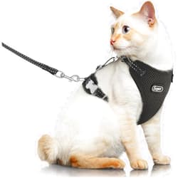 Supet Cat Harness and Leash for Walking Escape Proof, Adjustable Harness for Cats, Easy Control Small Cat Harness for Medium Large Kitten and Dogs S Black