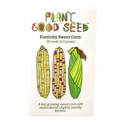 Plant Good Seed Organic Festivity Sweet Corn Seeds - Pack of 30, Heirloom Seeds for Planting Vegetables, Gardening Supplies, Vegetable Graden - Non-GMO, Open Pollinated, from USA