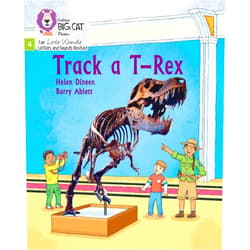 By Helen Dineen (Author), Barry Ablett (Illustrator) Big Cat Phonics for Little Wandle Letters and Sounds Revised – Track a T-Rex: Phase 4