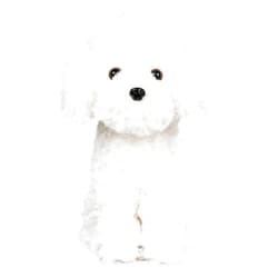 WEIGEDU White Toy Poodle Stuffed Animal - Bichon Frise/Maltese/White Labradoodle Plush Toy for Kids and Babies - Perfect Birthday & Easter Gift, 12.6