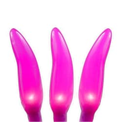 Novelty Lights CP-35 Chilli Pepper Mini Light Set, Purple, Green Wire, 35 Light, 11' Long