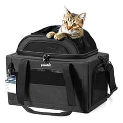 Pecute Expandable Pet Carrier Airline Approved Dog Cat Carrier, Breathable Soft-Sided with Locking Zippers, Pet Travel Bag for Small Dog Cat Anti-Scratch Mesh Leakproof Pee Pad (Dark Gray)