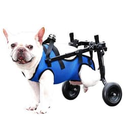 Huimpet Dog Wheelchair for Back Legs, Dog Wheelchair for Small Dog, Adjustable Pets Cart with Wheels, Doggy Wheelchairs for Disabled Hind Legs, Dog Leg Brace and Hip Support, Medium
