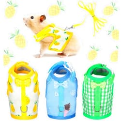 Weewooday 3 Pieces Guinea Pig Harness with Leash Small Pet Harness Fruit Plaid Pattern Adjustable Padded Walking Vest for Pet Hamster Ferret and Squirrel Small Animals (Pineapple, Blue, Green Plaid, Small)