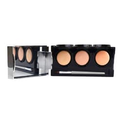 Dermaflage Full Coverage Concealer Palette, Waterproof Concealer Cream, 3 Colors + Brush, by Dermaflage Light