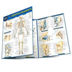 Vincent Perez Anatomy of Joints & Ligaments: a QuickStudy Laminated Reference Guide