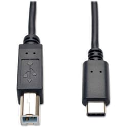 Tripp Lite 6ft USB 2.0 Hi-Speed Cable B Male to USB Type-C USB-C Male