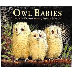 By unknown author (Author) By Martin Waddell - Owl Babies (Brdbk)
