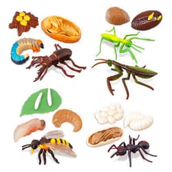 TOYMANY 16PCS Insect Figurines Life Cycle of Stag Beetle,Honey Bee,Mantis,Ant Plastic Safariology Bug Figures Toy Kit Caterpillars to Butterflies Educational School Project for Kids Toddlers