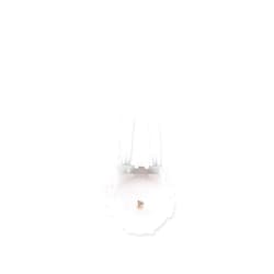 K KAMOER 12v peristaltic pump head replacement DIY Kamoer liquid dosing pump accessories for Aquarium Lab Analytic (White, Silicone tube（2mm ID × 4mm OD）)