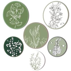 Barydat 6 Pieces Boho Plant Wall Art Print Set Boho Wooden Wall Print Neutral Vintage Wall Decor Minimalist Hanging Art Wall Decor Farmhouse Bedroom Living Room Office (Greenery)