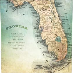 Bailiers Cartoon Map Diamond Painting Kits for Adults,Palm Island Home Florida Map Diamond Painting Home Interior Decoration Diamond Painting, Size 16 X20 Inch