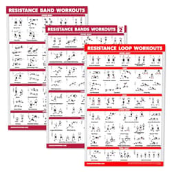By Palace Learning Palace Learning 3 Pack: Resistance Bands Workouts Volume 1 & 2 + Resistance Loops Exercises Poster Set - Set of 3 Workout Charts (Laminated, 18