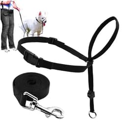BARKLESS Dog Head Collar, Adjustable and Padded, No-Pull Training Tool for Dogs on Walks, Includes 1 Dog Leash and A Training Guide