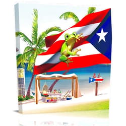 HIYPLAY Canvas Wall Art Summer Beach Puerto Rico Flag Picture Modern Artwork Printed on Canvas - Oil Painting for Wall Decor - Stretched and Framed Ready to Hang(12