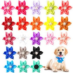 Reginary 20 Pcs Dog Collar Flowers 3.35 Inch Pet Flower Bow Ties Multi Color Dog Flower Dog Collar Bows for Puppy Dog Cat Pet Collar Grooming Accessories