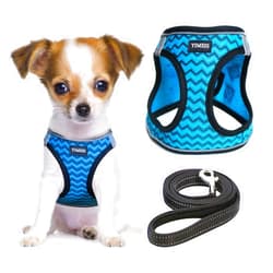 YIMEIS Dog Harness and Leash Set, No Pull Soft Mesh Pet Harness, Reflective Adjustable Puppy Vest for Small Medium Large Dogs, Cats (Blue, X-Small (Pack of 1)