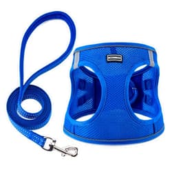 BOOMIBOO Dog Harness with Leash Set, No Pull Adjustable Reflective Step-in Puppy Pet Vest Harnesses for Small Medium Large Dogs and Cats,Blue XS