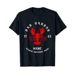 Fun Things To Wear Vintage Acadia National Park Bar Harbor Maine Lobster Funny T-Shirt