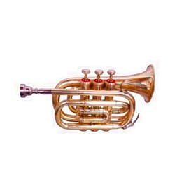 QUEENBRASS BB POCKET TRUMPET IN BRASS FINISH STUDENT TRUMPET PRACTICE MUTE FOR BEGINNERS & ADVANCED LEVEL WITH CARRYING HARD CASE & MOUTHPIECE GOLD